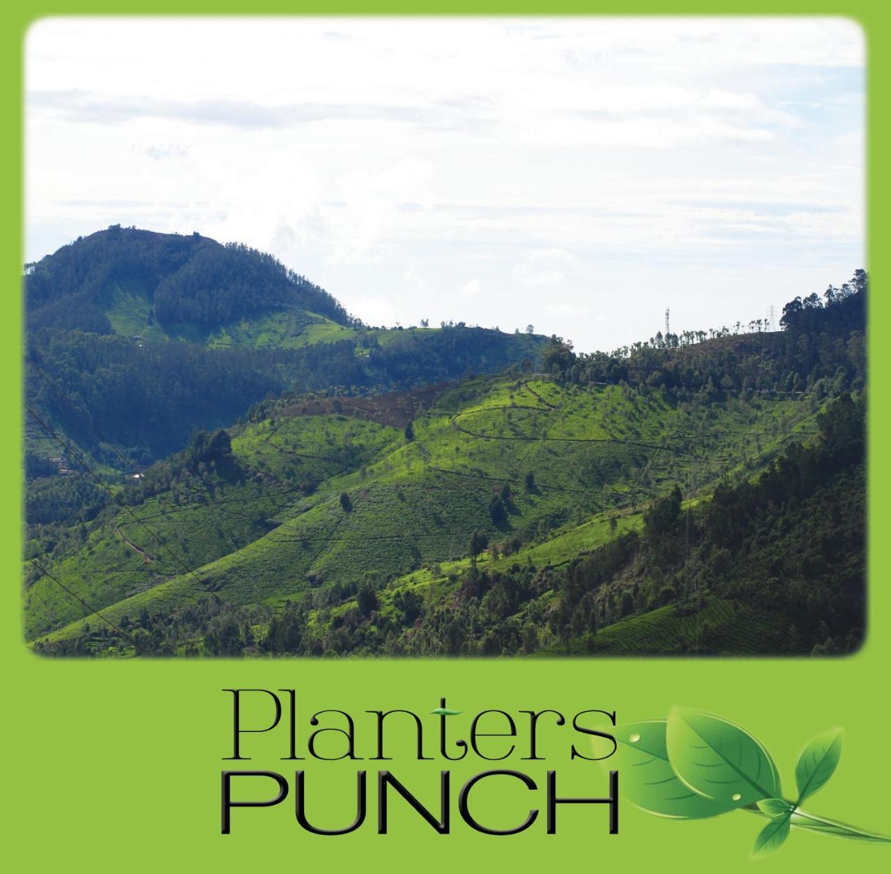 Villa Planters Punch Udagamandalam Exterior foto
