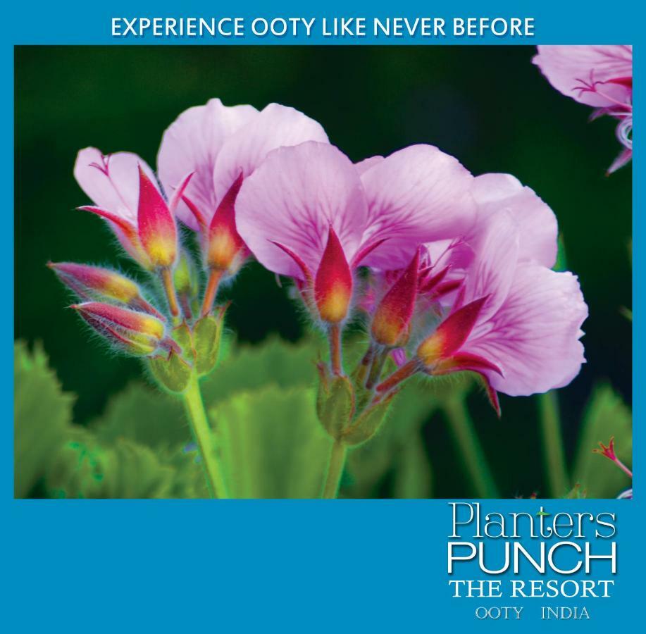 Villa Planters Punch Udagamandalam Exterior foto